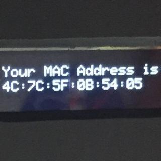 This is a MAC Address